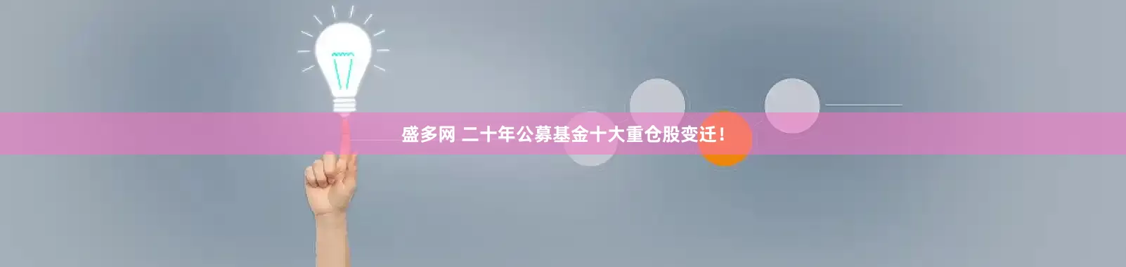 盛多网 二十年公募基金十大重仓股变迁！
