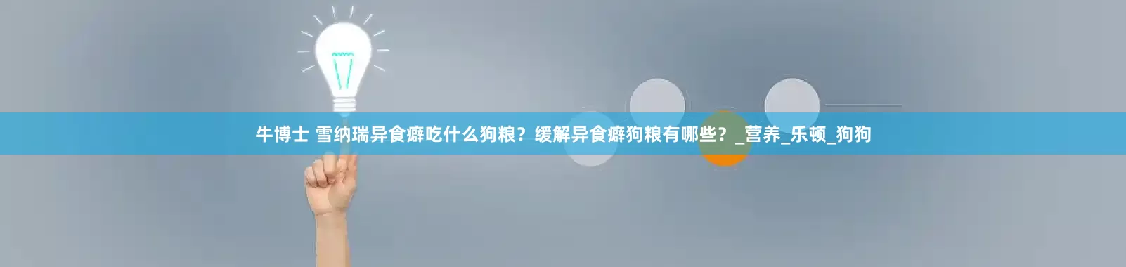 牛博士 雪纳瑞异食癖吃什么狗粮？缓解异食癖狗粮有哪些？_营养_乐顿_狗狗