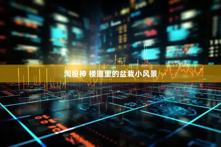 淘股神 楼道里的盆栽小风景
