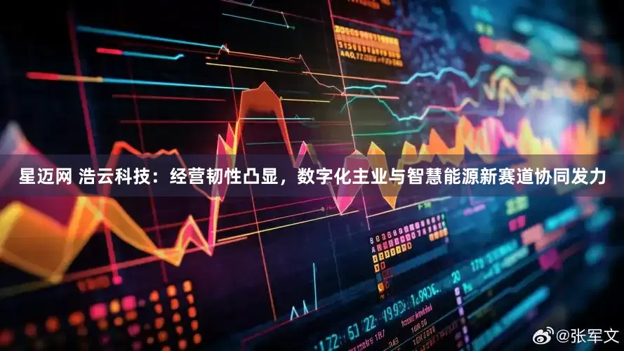 星迈网 浩云科技：经营韧性凸显，数字化主业与智慧能源新赛道协同发力