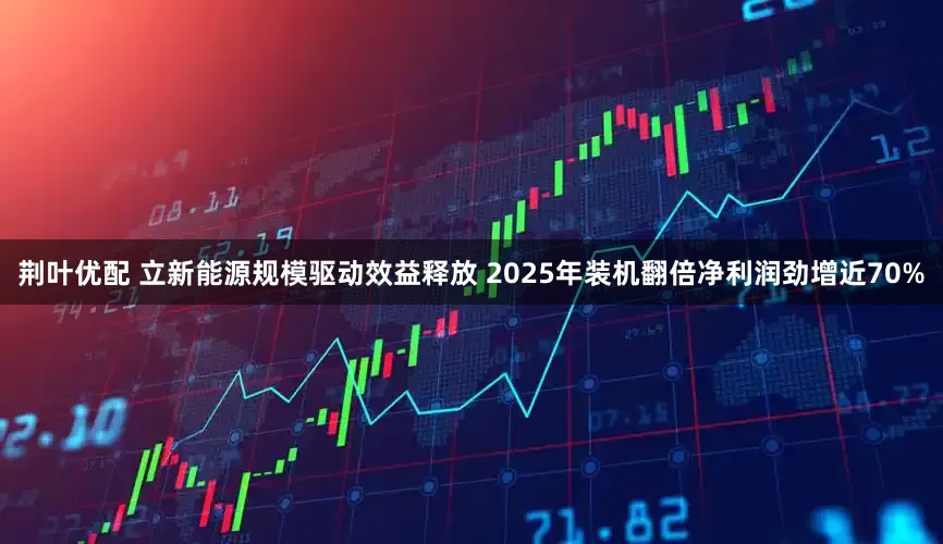 荆叶优配 立新能源规模驱动效益释放 2025年装机翻倍净利润劲增近70%