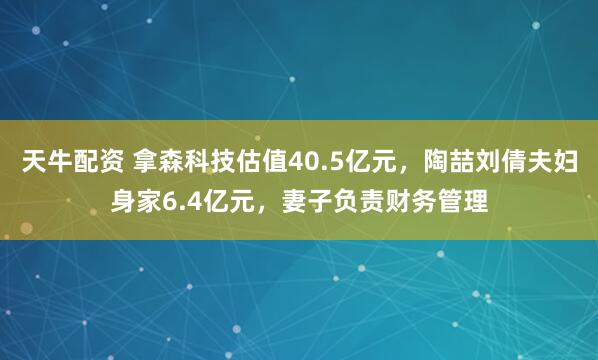 天牛配资 拿森科技估值40.5亿元，陶喆刘倩夫妇身家6.4亿元，妻子负责财务管理